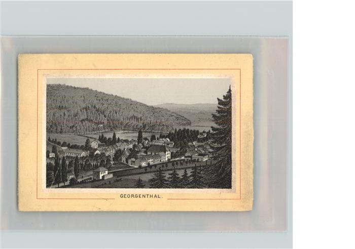 Georgenthal Gesamtansicht