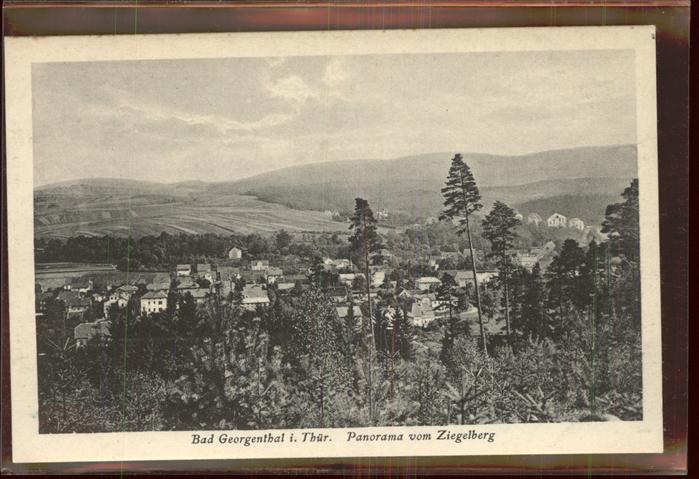 Georgenthal Ziegelberg Panorama