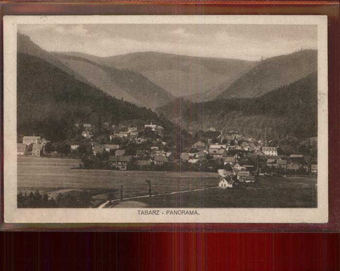 Tabarz Panorama
