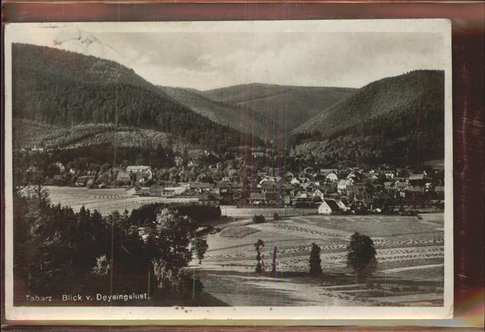 Tabarz Blick vom Deysingslust