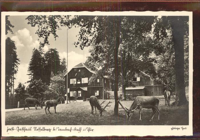 Tambach-Dietharz Forst-Gasthaus Nesselberg Hirsche