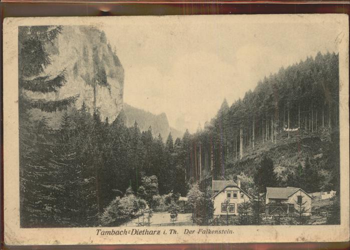 Tambach-Dietharz Der Falkenstein