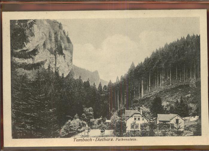 Tambach-Dietharz Falkenstein