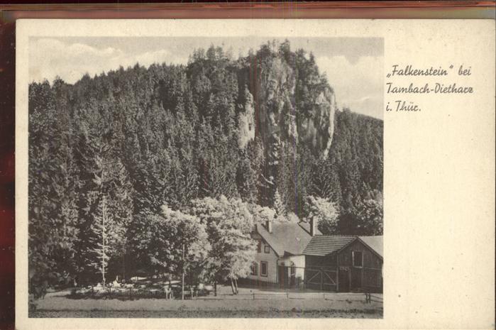 Tambach-Dietharz Falkenstein