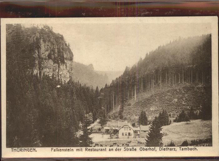 Tambach-Dietharz Falkenstein Restaurant