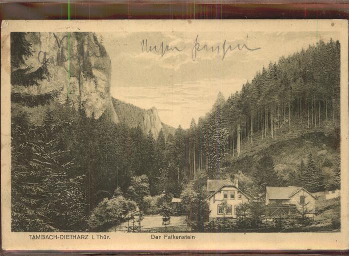 Tambach-Dietharz Der Falkenstein