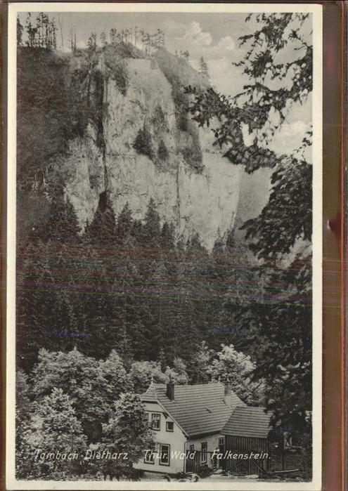 Tambach-Dietharz Falkenstein