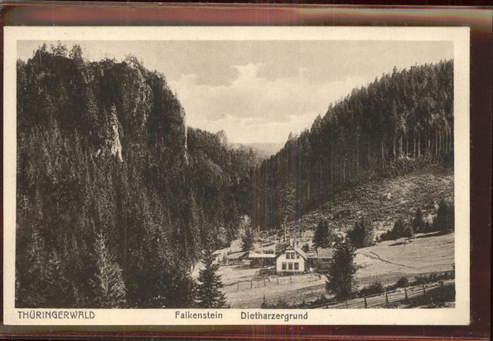 Falkenstein Thueringen Dietharzergrund