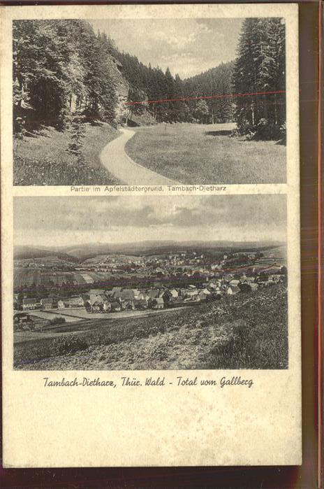 Tambach-Dietharz Apfelstädtergrund