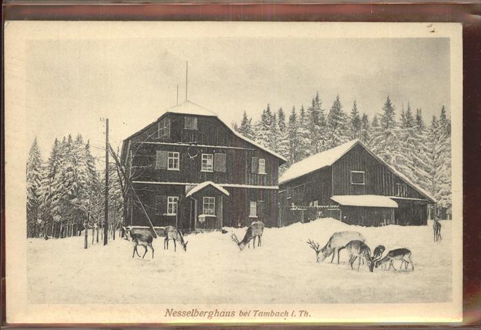 Tambach-Dietharz Nesselberghaus Rehe