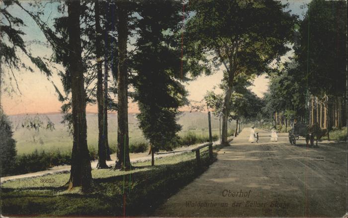 Oberhof Thueringen Waldpartie Zellaer Straße