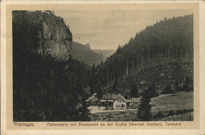 Falkenstein Thueringen Restaurant an Straße Oberhof