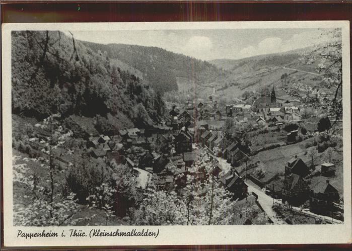Pappenheim Thueringen Ortsblick