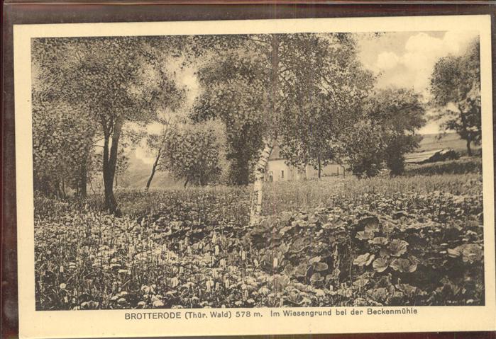 Brotterode Im Wiesengrund bei der Beckenmühle