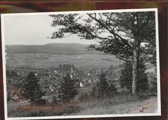 Brotterode Panorama mit Inselsberg
