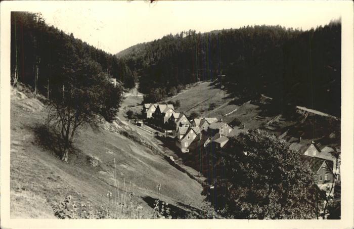 Fehrenbach Thueringer Wald Ortsansicht