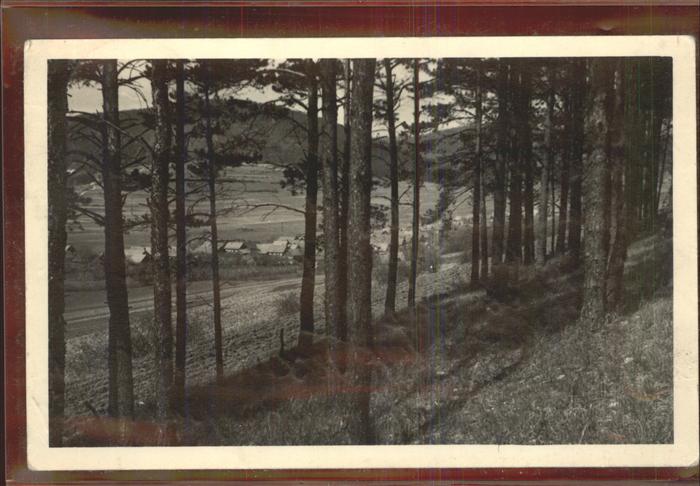 Sachsenbrunn Ortsansicht