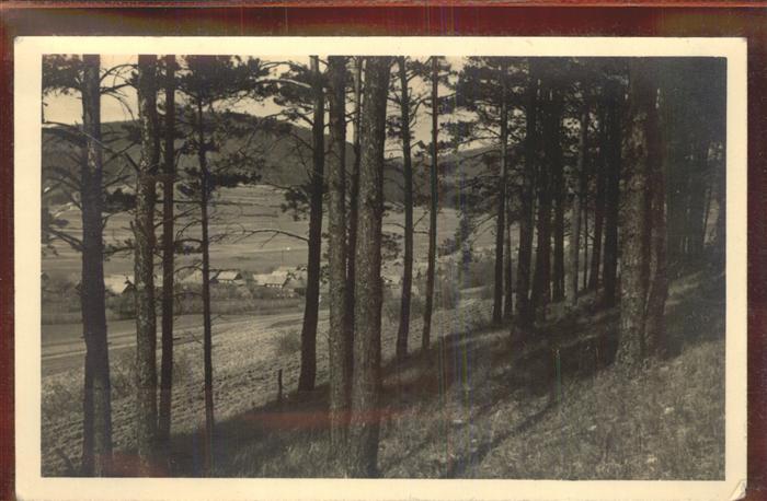 Sachsenbrunn Ortsansicht