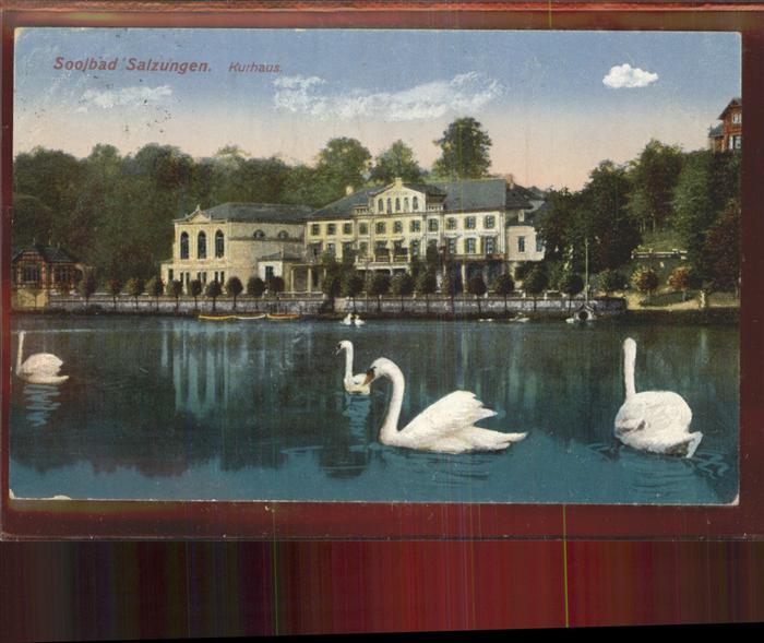 Bad Salzungen Burgsee Kurhaus Schwäne