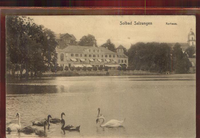 Bad Salzungen Kurhaus Burgsee Schwäne