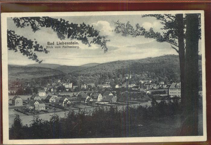 Bad Liebenstein Panorama