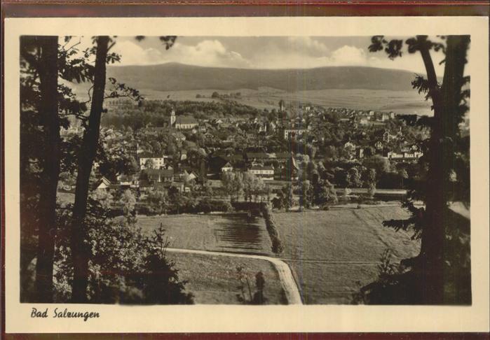 Bad Salzungen Panorama