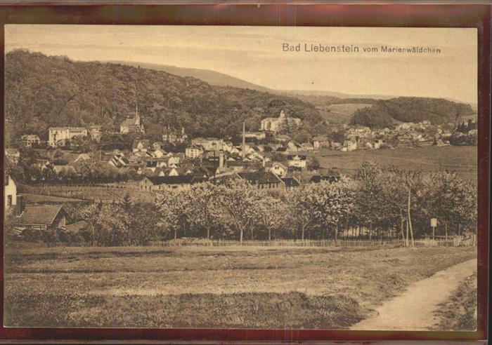 Bad Salzungen Blick vom Marienwäldchen