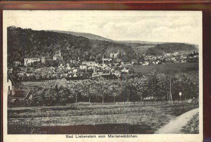 Bad Liebenstein vom Marienwäldchen