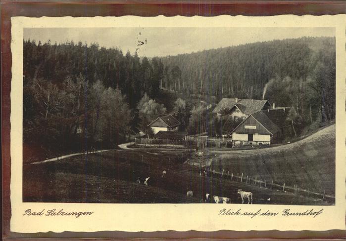Bad Salzungen Blick auf den Grundhof