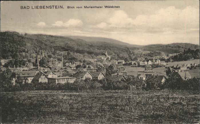 Bad Liebenstein vom Marienthaler Wäldchen
