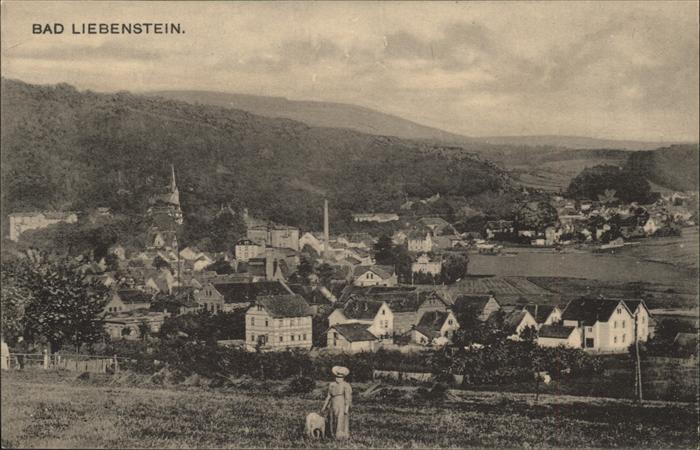 Bad Liebenstein Panorama