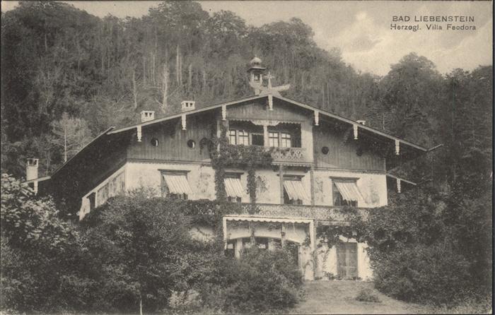 Bad Liebenstein Herzogl Villa Feodora