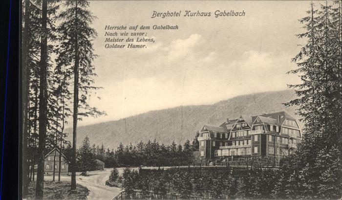 Ilmenau Thueringen Berghotel Kurhaus Gabelbach