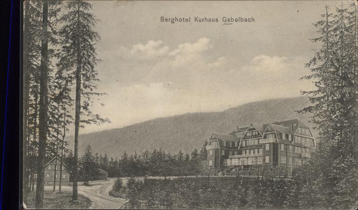 Ilmenau Thueringen Berghotel Kurhaus Gabelbach