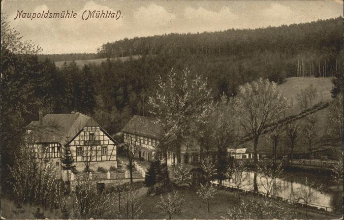 Greiz Thueringen Naupoldsmühle im Mühltal