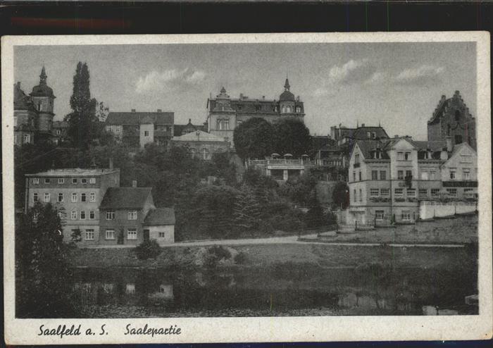 Saalfeld Saale Stadtblick mit Saale