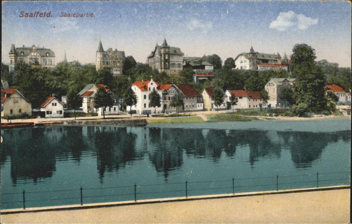Saalfeld Saale Stadtblick mit Saale