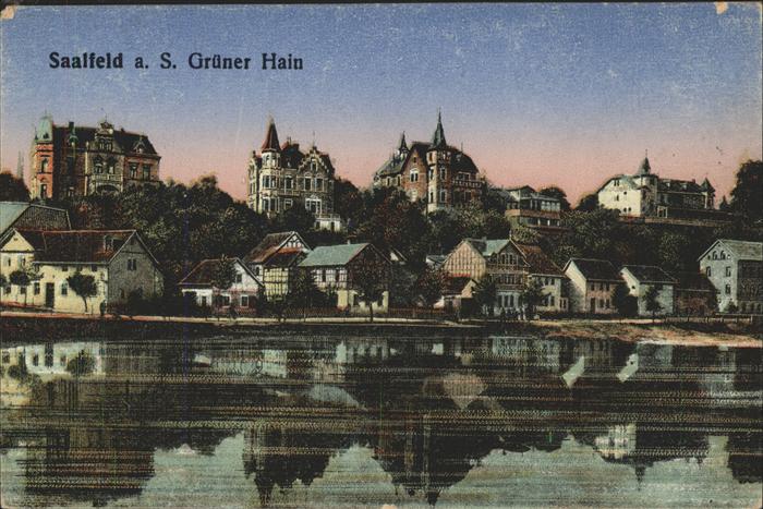 Saalfeld Saale Grüner Hain