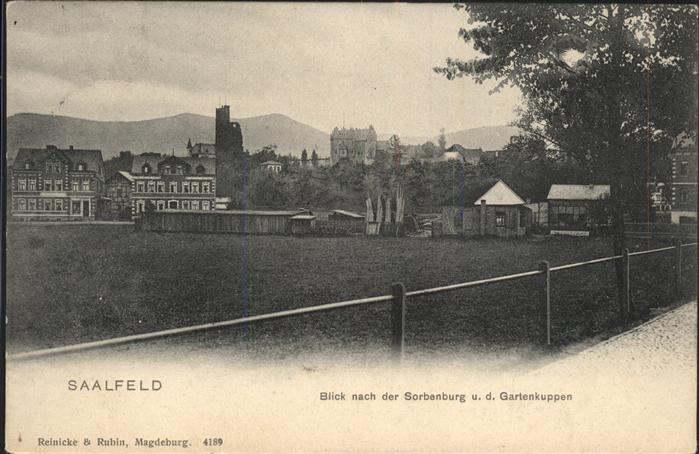 Saalfeld Saale Blick auf die Sorbenburg