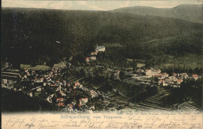 Schwarzburg Thueringer Wald vom Trippstein