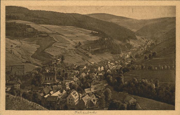 Mellenbach-Glasbach Panorama