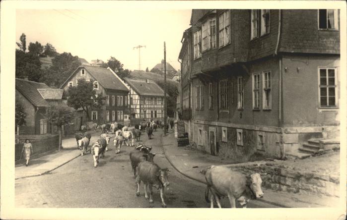 Schmiedefeld Rennsteig Kuhtrieb