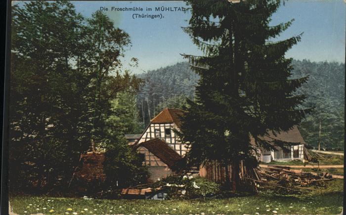 Gera Froschmühle im Mühltal