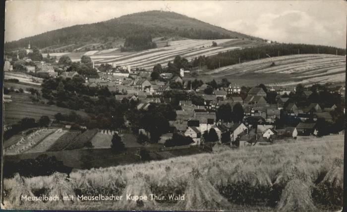 Meuselbach-Schwarzmuehle Panorama mit Kuppe