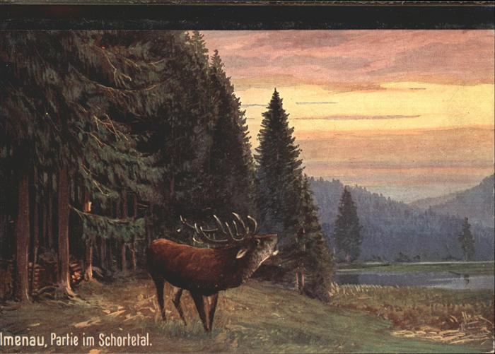 Verlag Wiedemann WIRO Nr. 1705 Ilmenau Schortetal Hirsch