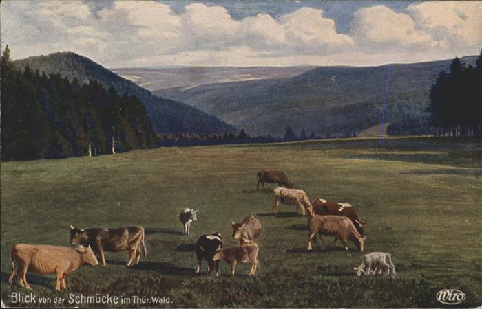 Verlag WIRO Wiedemann Nr. 3095 Schmücke Sachsenstein Kühe Schafe