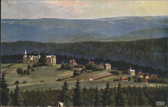 Verlag Wiedemann WIRO Nr. 3484 A Finsterbergen Kurhaus Felsenstei