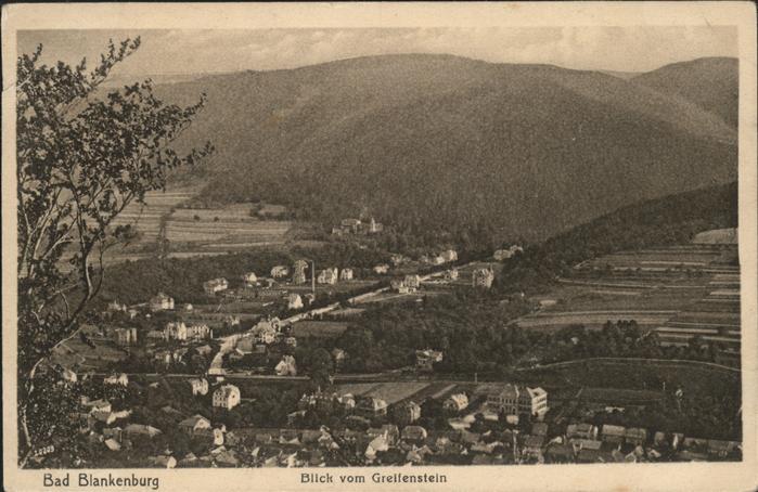 Bad Blankenburg Blick vom Greifenstein