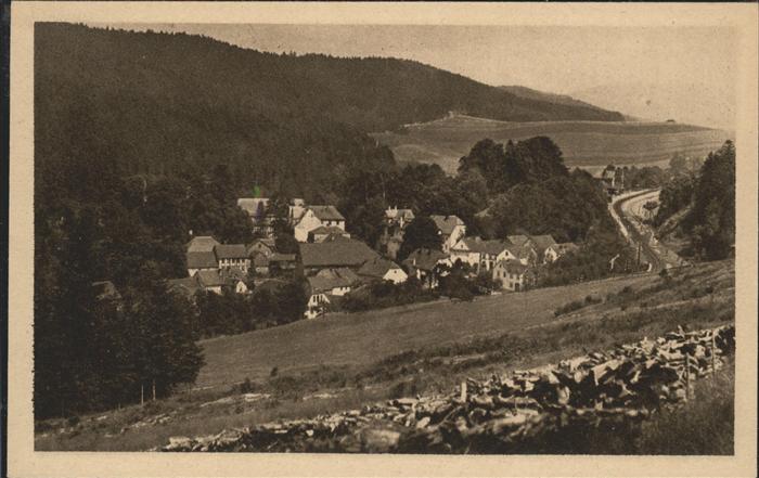 Paulinzella Panorama