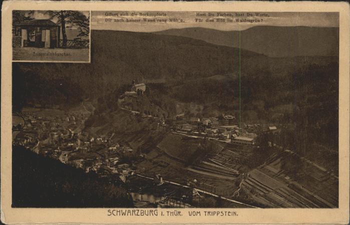 Schwarzburg Thueringer Wald Panorama Trippsteinhäuschen